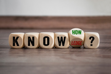 洛克王国音速犬怎么超进化 洛克王国风暴战犬