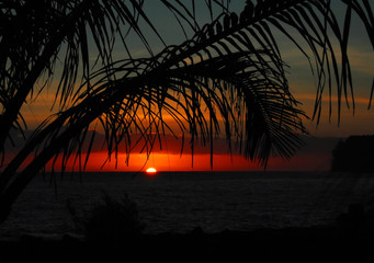 普通话证书查询 普通话证书电子版查询