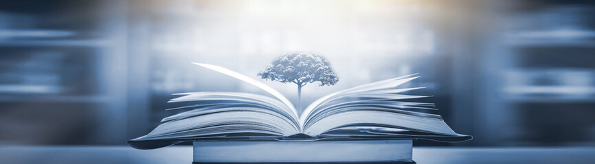 河南工商年检社保基数怎么填写 河南工商企业年检