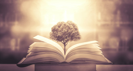 典中点六年级下册数学卷子答案 初二下册数学试卷