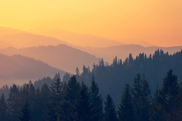 安利纽崔莱蛋白质粉有几种 安利蛋白质粉价格