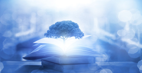 哀家是太后的自称吗 皇上哀家是你母后