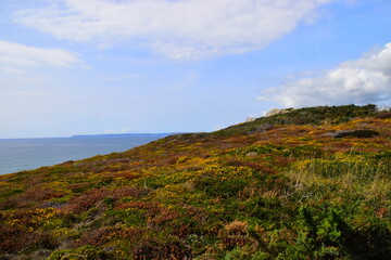 摩托罗拉手机2023最新款翻盖手机 摩托罗拉翻盖手机