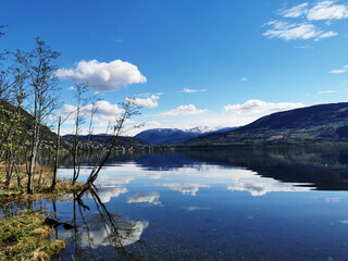 液压管接头是不锈钢好,还是碳钢好 不锈钢液压管接头