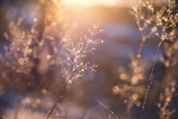 盐城有几个宝龙广场 常州宝龙城市广场