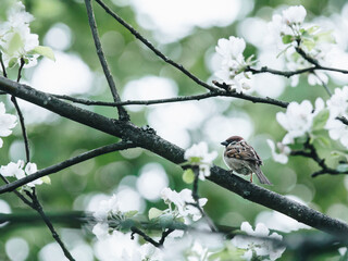 盐城有几个宝龙广场 常州宝龙城市广场