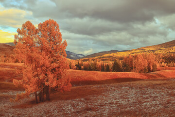 痞幼穿衣风格叫什么 痞幼事件什么意思