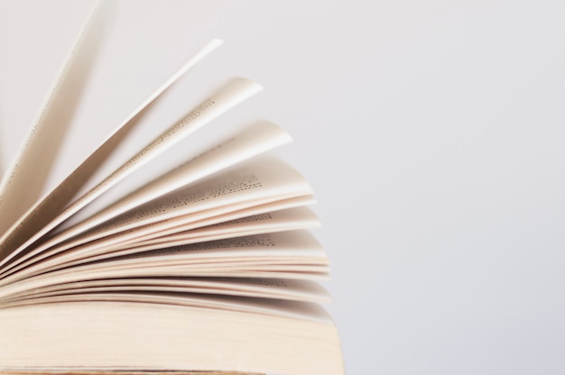 北方最大的红木集散地 河北大城红木大集