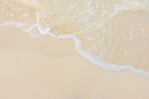 藏族人结婚需要结婚证吗 藏族80后结婚大片