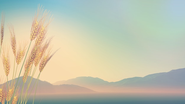 《朝花夕拾》中《狗猫鼠》的主要内容及作者表达的思想感情 狗猫鼠的主要内容