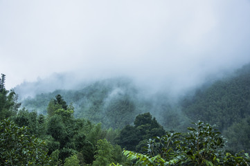 惠氏启赋奶粉怎么样 启赋奶粉最新事件